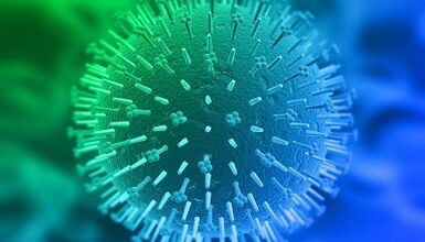 ways of infection with human papillomavirus