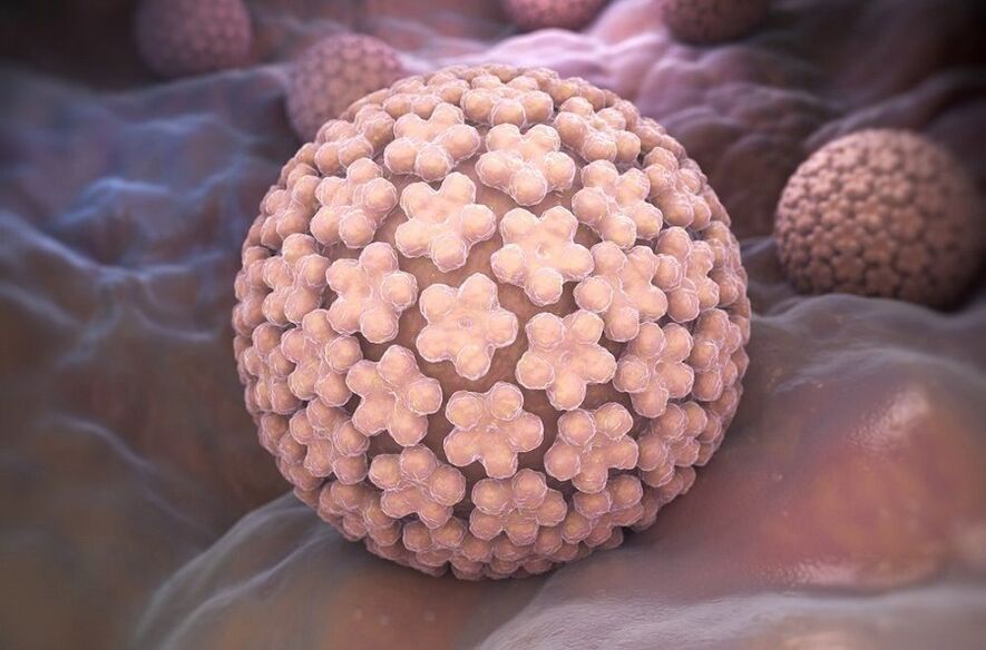 human papillomavirus causing warts